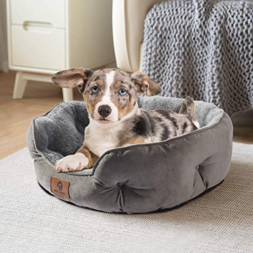 Asvin Small Canine and Cat Mattress - Cozy Indoor Mattress for Puppies and Kittens, Further Smooth, Machine Washable with Anti-Slip and Water-Resistant Oxford Base, Gray, 20 inches