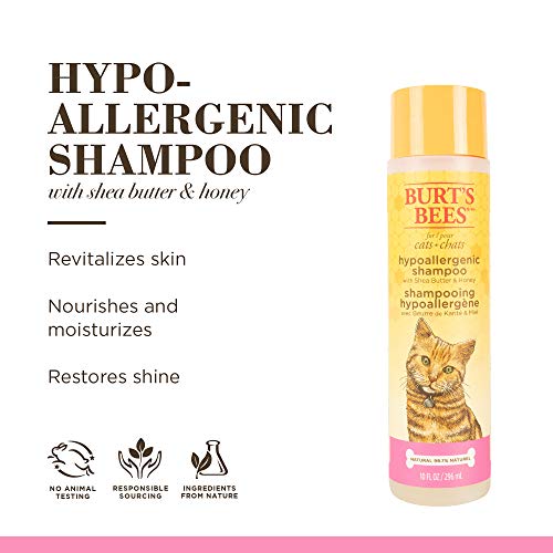 Burt's Bees Hypoallergenic Cat Shampoo with Shea Butter & Honey - Moisturizing Components for Cats with Delicate Pores and skin, 10 Fl Oz